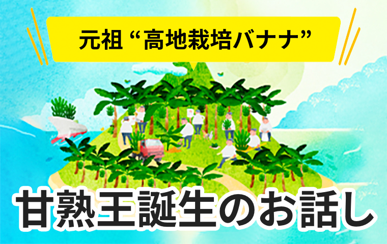 元祖”高地栽培バナナ”甘熟王 誕生のお話し