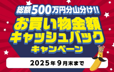 キャンペーン実施中！３月～９月【えらべるPay】最大5,000円分キャッシュバック！