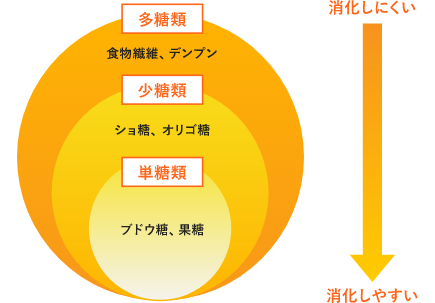 バナナに含まれる糖質は様々含まれており、即効性と持続性を併せ持つ優れた食べ物です